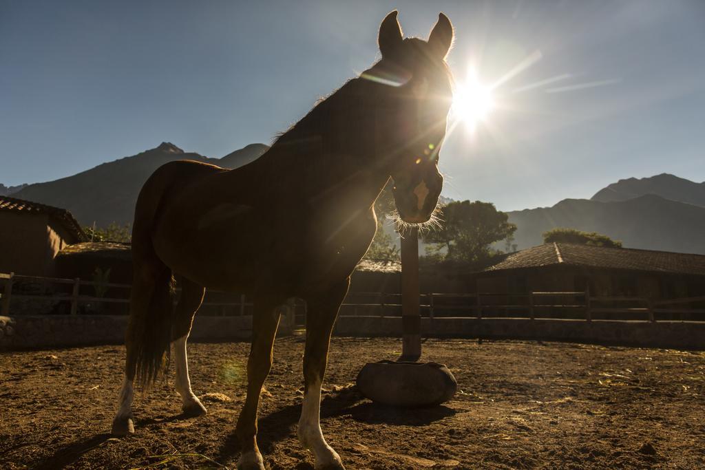 Sol Y Luna - Relais & Chateaux Sacred Valley Exterior foto